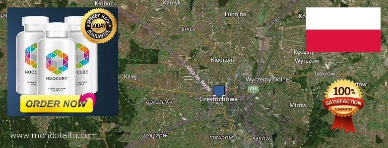 Where to Buy Nootropics online Czestochowa, Poland