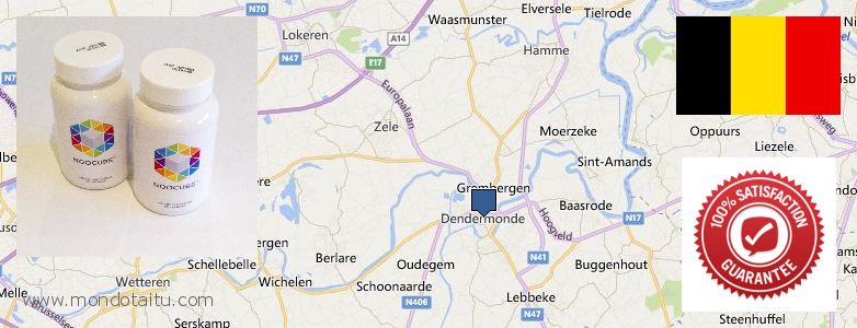 Wo kaufen Nootropics Noocube online Dendermonde, Belgium
