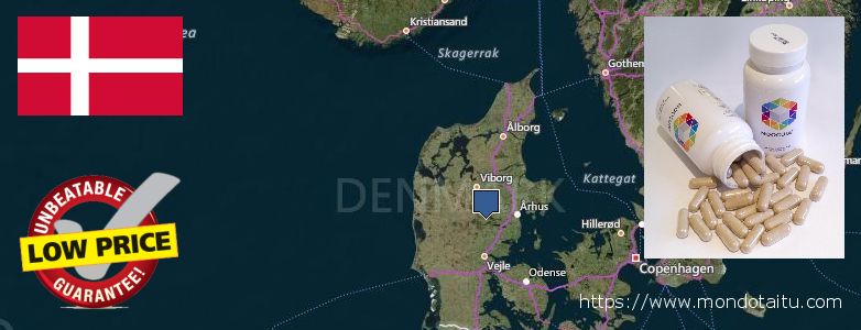 Where to Buy Nootropics online Denmark