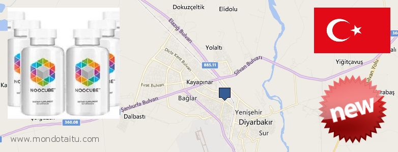 Where to Buy Nootropics online Diyarbakir, Turkey