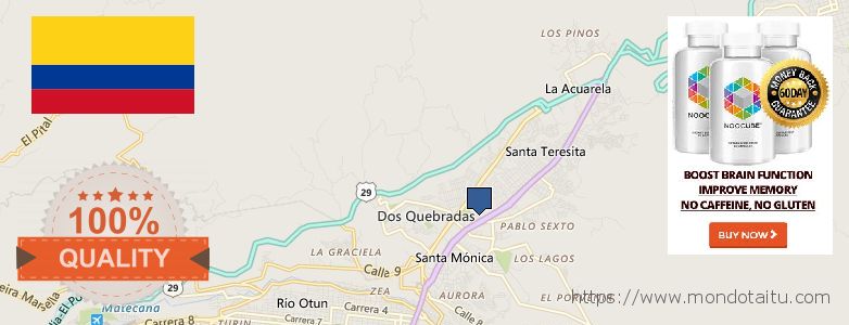 Where Can I Buy Nootropics online Dos Quebradas, Colombia