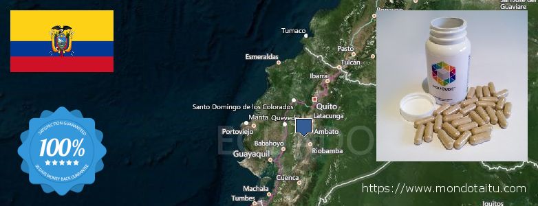 Where Can I Buy Nootropics online Ecuador