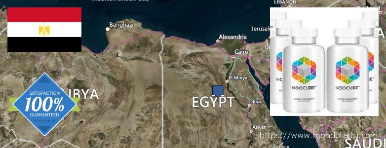 Purchase Nootropics online Egypt Where Can I Purchase Nootropics online Egypt
