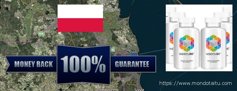 Wo kaufen Nootropics Noocube online Gdynia, Poland