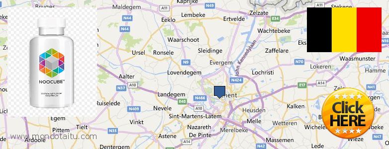 Where to Purchase Nootropics online Gent, Belgium