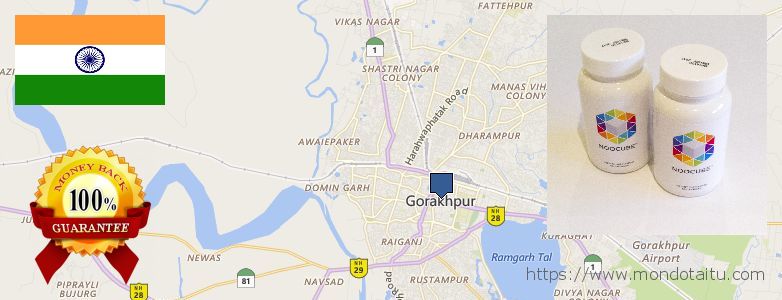 Where to Buy Nootropics online Gorakhpur, India