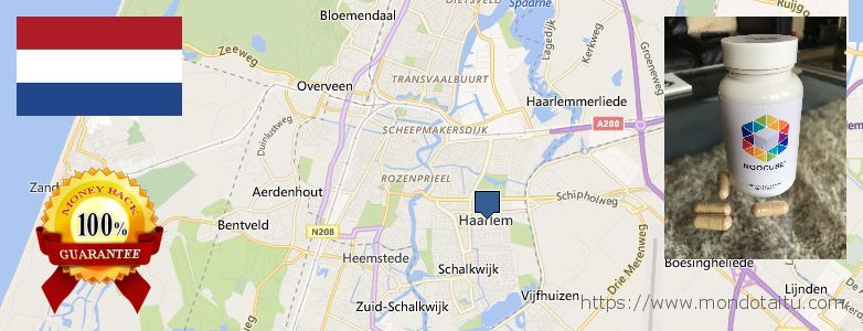 Where Can I Buy Nootropics online Haarlem, Netherlands
