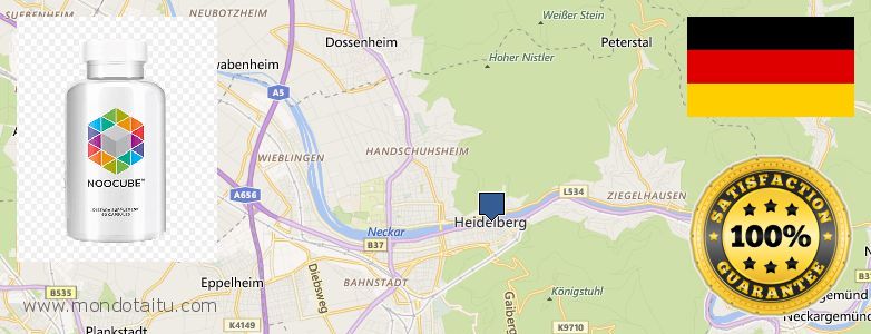 Where to Purchase Nootropics online Heidelberg, Germany