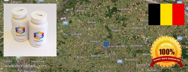 Where Can You Buy Nootropics online Heist-op-den-Berg, Belgium