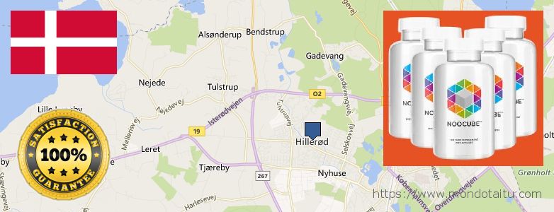 Where to Buy Nootropics online Hillerod, Denmark