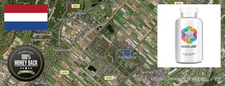 Where Can I Buy Nootropics online Hoofddorp, Netherlands