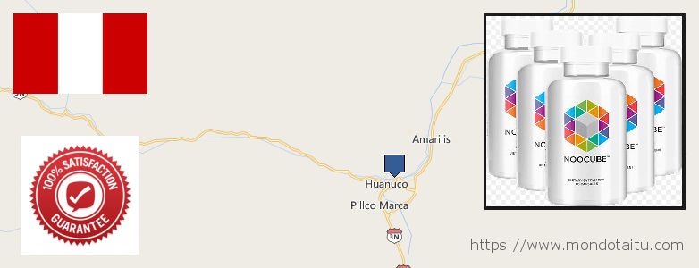 Where to Buy Nootropics online Huanuco, Peru