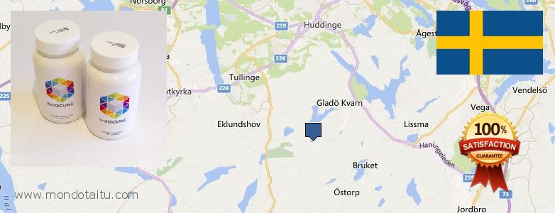 Where to Buy Nootropics online Huddinge, Sweden