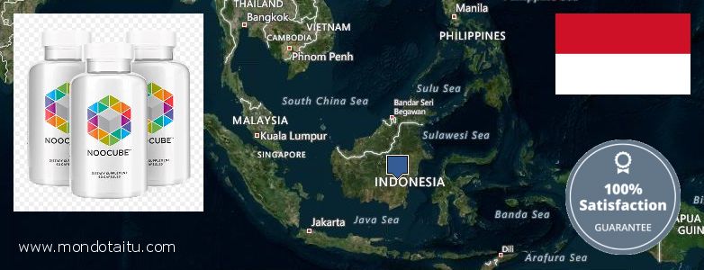 Purchase Nootropics online Indonesia Where to Buy Nootropics online Indonesia
