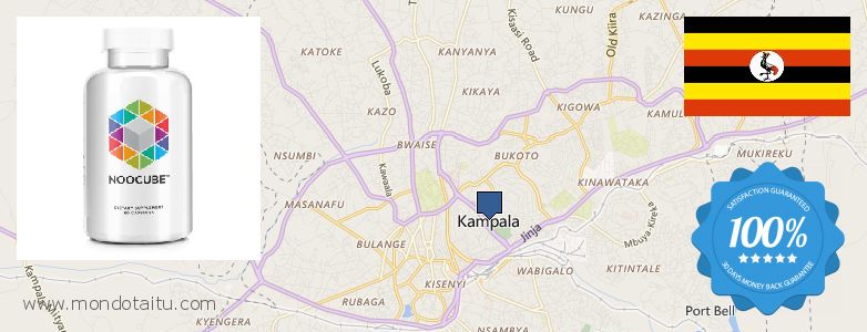 Where Can I Buy Nootropics online Kampala, Uganda