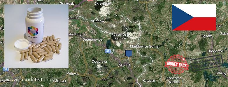 Best Place to Buy Nootropics online Karvina, Czech Republic