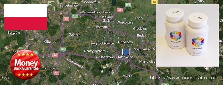 Where to Purchase Nootropics online Katowice, Poland