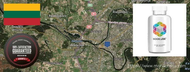 Where to Buy Nootropics online Kaunas, Lithuania