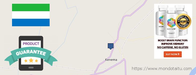 Where Can I Buy Nootropics online Kenema, Sierra Leone