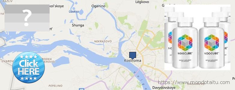 Wo kaufen Nootropics Noocube online Kostroma, Russia
