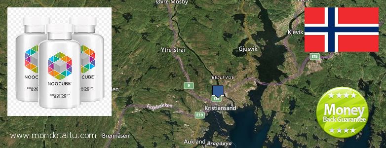 Where to Buy Nootropics online Kristiansand, Norway