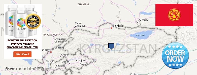 Purchase Nootropics online Kyrgyzstan