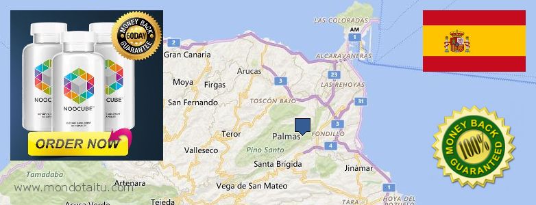 Where to Buy Nootropics online Las Palmas de Gran Canaria, Spain