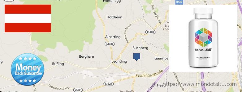 Where to Buy Nootropics online Leonding, Austria