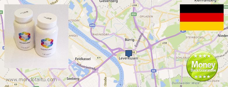Where Can I Buy Nootropics online Leverkusen, Germany