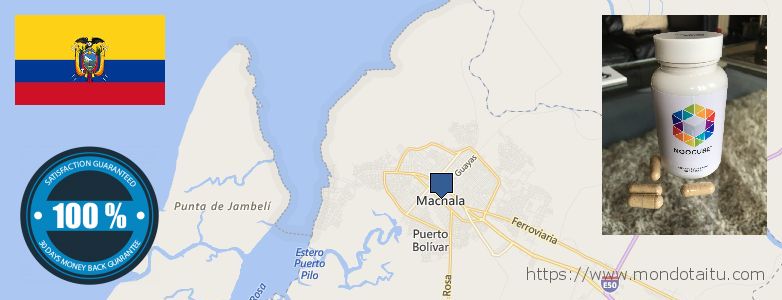Where to Buy Nootropics online Machala, Ecuador