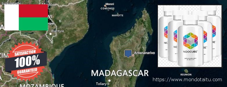 Purchase Nootropics online Madagascar Where to Buy Nootropics online Madagascar