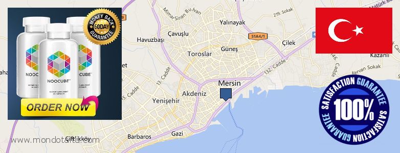 Purchase Nootropics online Mercin, Turkey