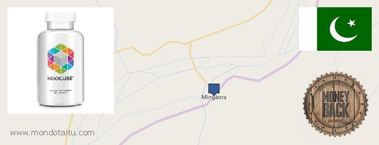 Where to Buy Nootropics online Mingora, Pakistan
