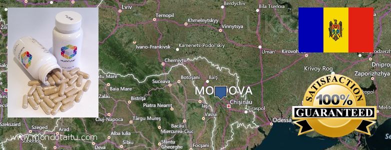 Best Place to Buy Nootropics online Moldova