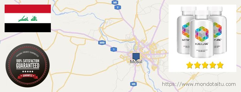 Where to Buy Nootropics online Mosul, Iraq