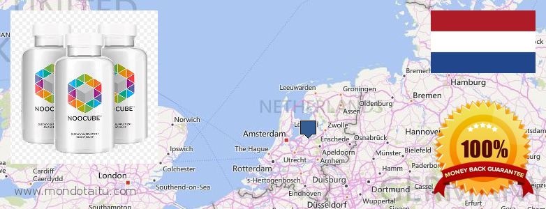 Where to Buy Nootropics online Netherlands