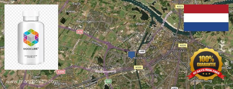 Where to Purchase Nootropics online Nijmegen, Netherlands