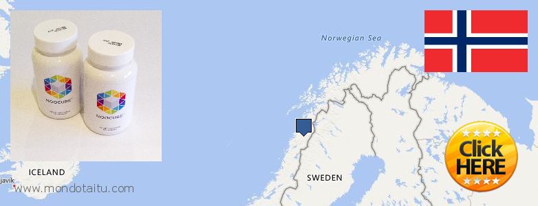 Best Place to Buy Nootropics online Norway