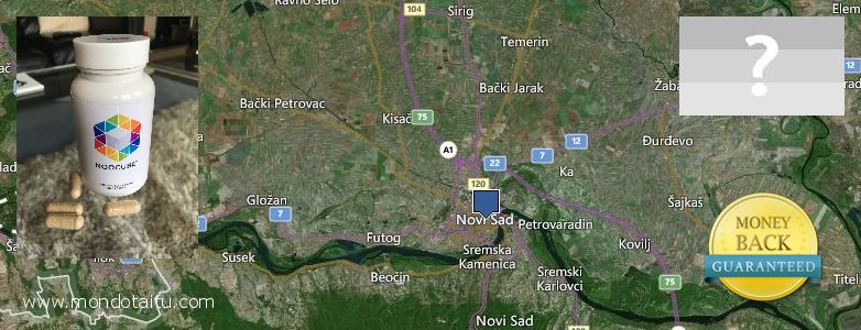 Where to Purchase Nootropics online Novi Sad, Serbia and Montenegro
