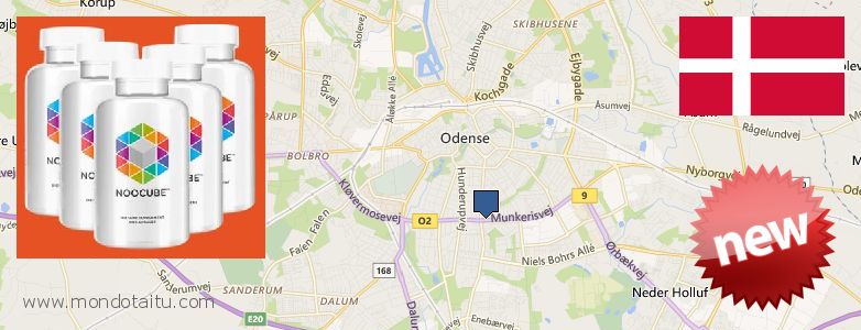Where to Buy Nootropics online Odense, Denmark