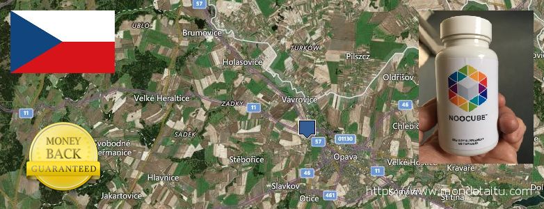Where to Buy Nootropics online Opava, Czech Republic