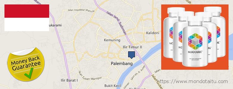 Purchase Nootropics online Palembang, Indonesia