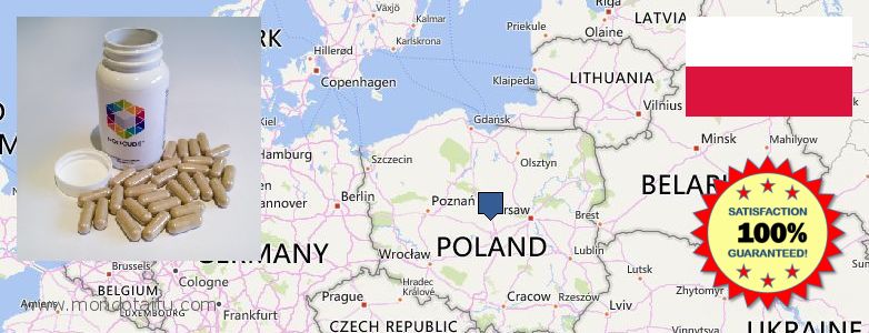 Buy Nootropics online Poland Where Can I Buy Nootropics online Poland