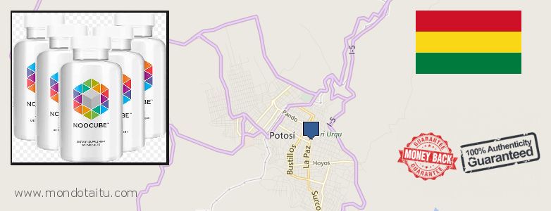 Where to Purchase Nootropics online Potosi, Bolivia