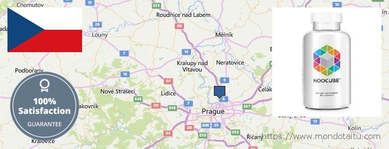 Where to Purchase Nootropics online Prague, Czech Republic