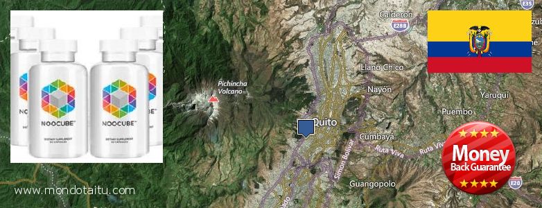 Buy Nootropics online Quito, Ecuador