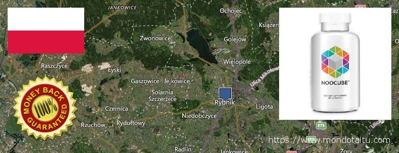 Where to Buy Nootropics online Rybnik, Poland