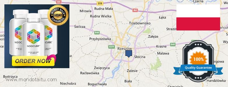 Wo kaufen Nootropics Noocube online Rzeszow, Poland