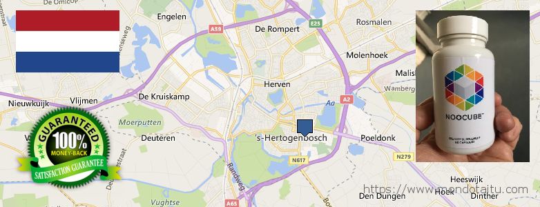 Where to Buy Nootropics online s-Hertogenbosch, Netherlands