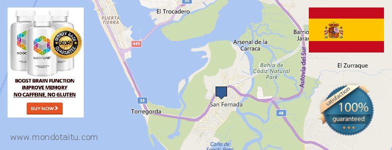 Where to Buy Nootropics online San Fernando, Spain